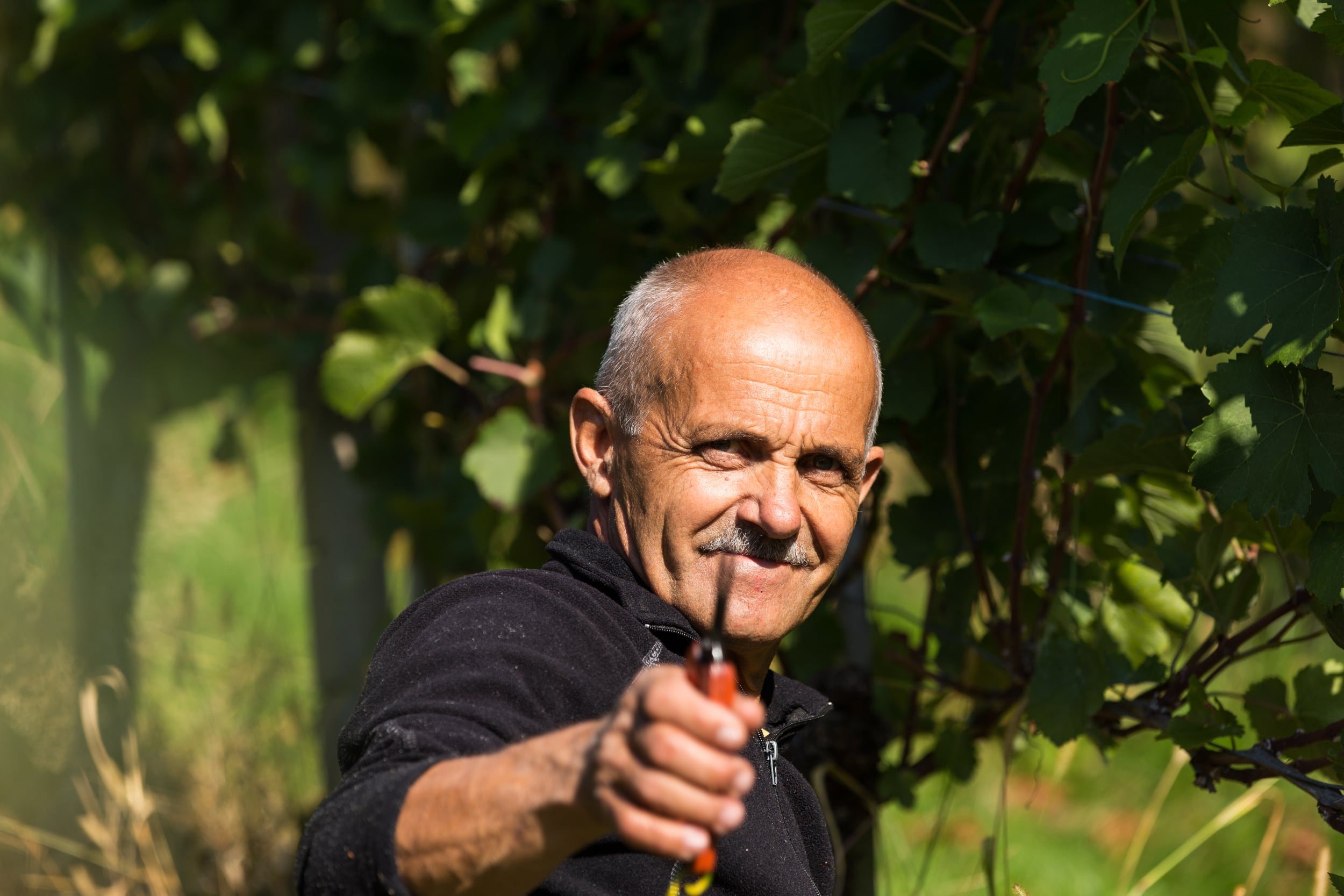 Leszek