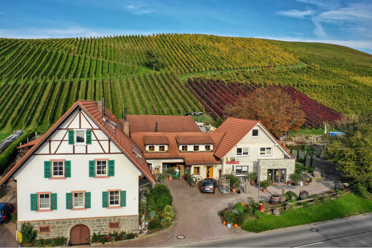 Weingut von-oben